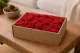 Lichen stabilis&eacute; Rouge (Creabox M) 1