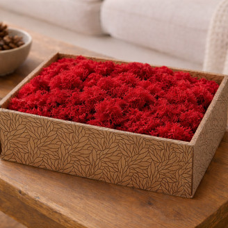 Lichene preservato - Creabox M - Rosso