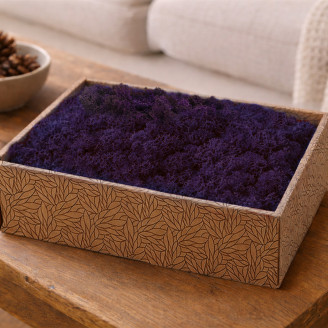 Liquen preservado - Creabox M - Morado