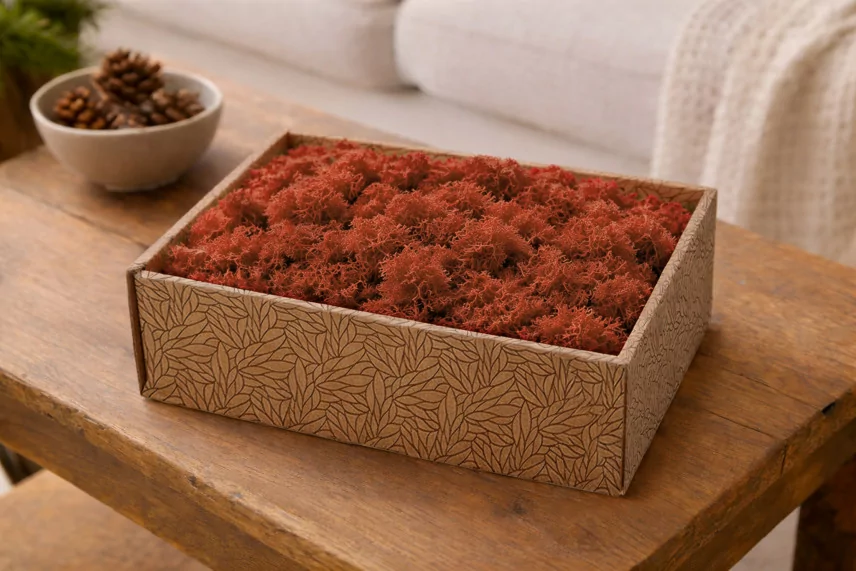 Lichen Stabilis&eacute; - Creabox M - Orange