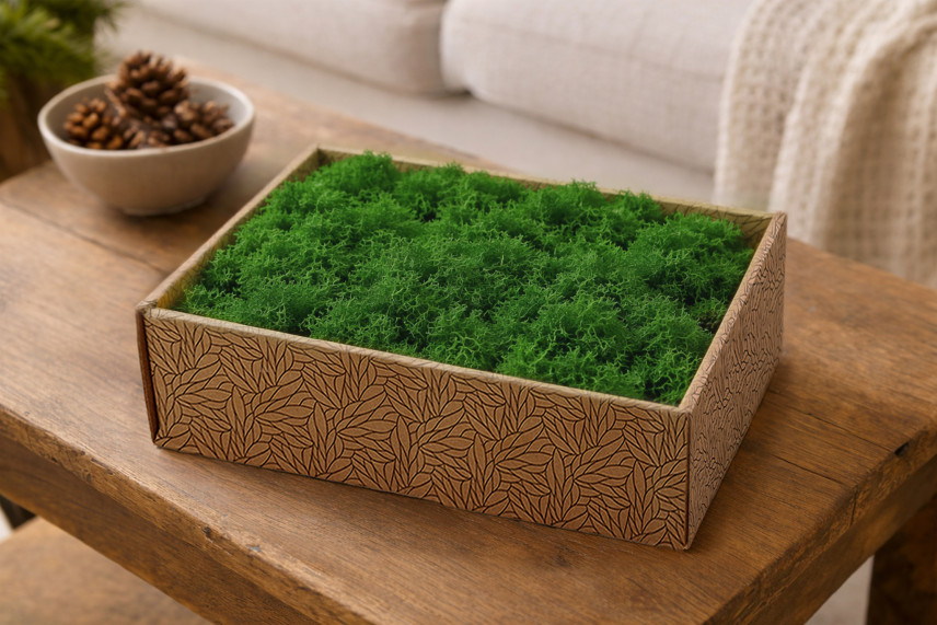 Lichene stabilizzato - Creabox M - Nature Green
