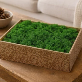 Lichen stabilis&eacute; Nature Green (Creabox M)