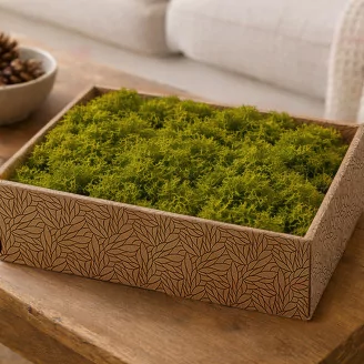Konserviertes Islandmoos Medium Green (Creabox M)