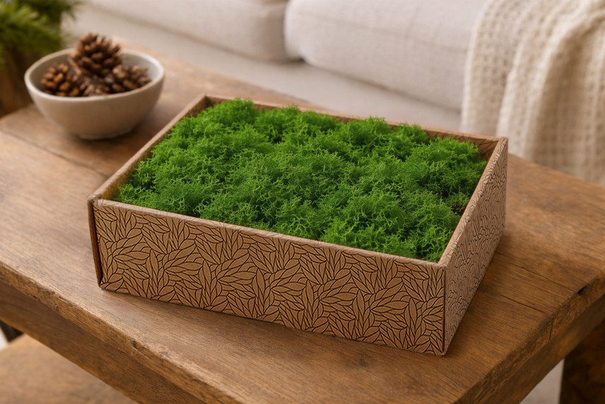 Lichene preservato - Creabox M - Light Green