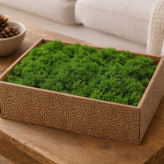 Preserved Reindeer Moss - Creabox M - Light Green