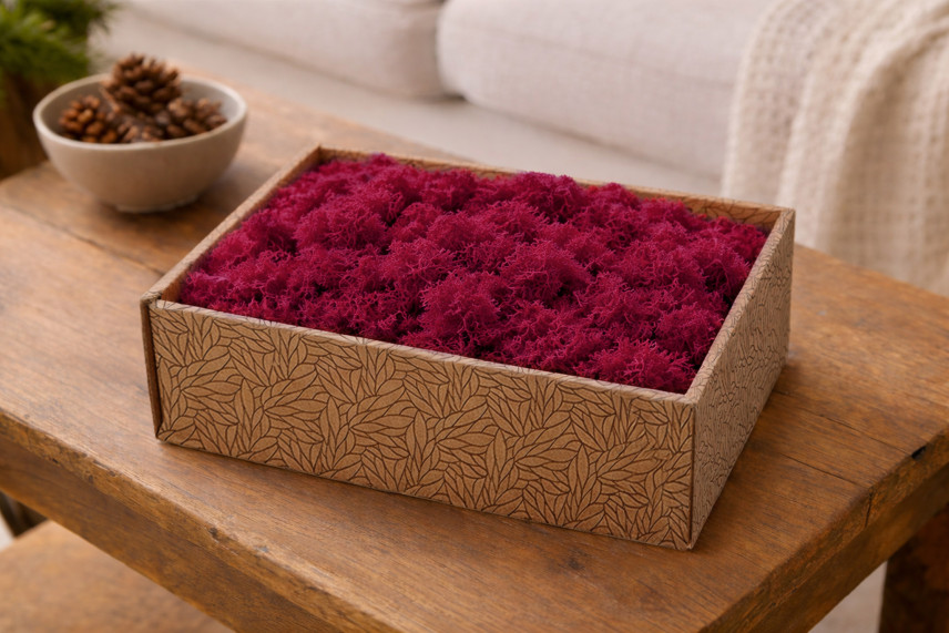 Lichene preservato - Creabox M - Fuchsia
