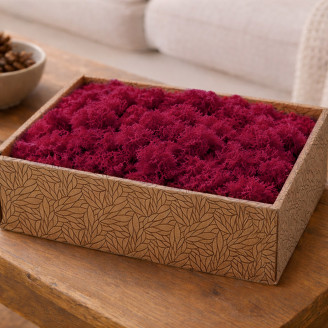 Islandmoos konserviert - Creabox M - Fuchsia