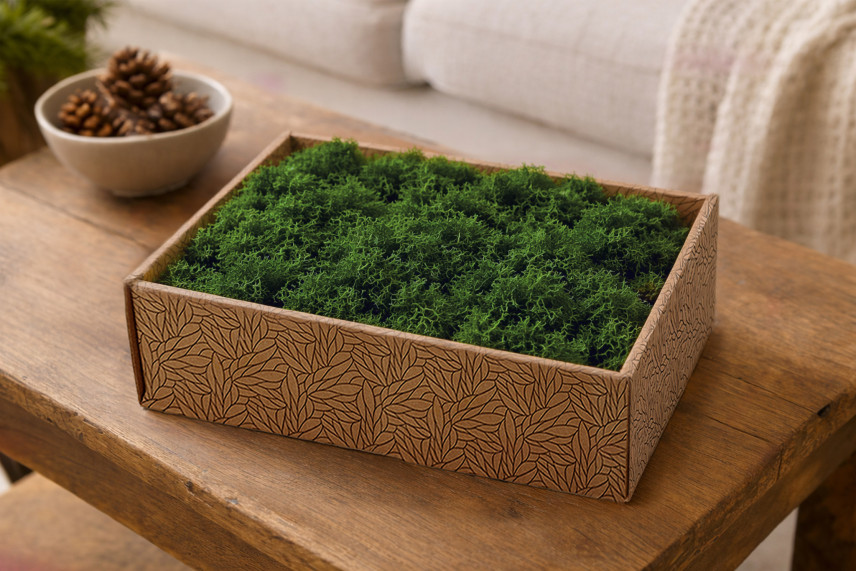 Lichene preservato - Creabox M - Forest Green