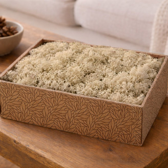 Lichen Stabilis&eacute; - Creabox M - Cream