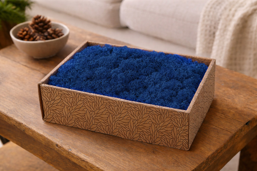 Lichene preservato - Creabox M - Royal Blue