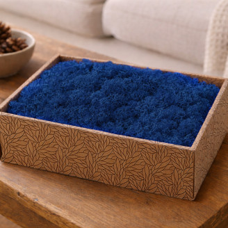 Preserved Reindeer Moss - Creabox M - Royal Blue