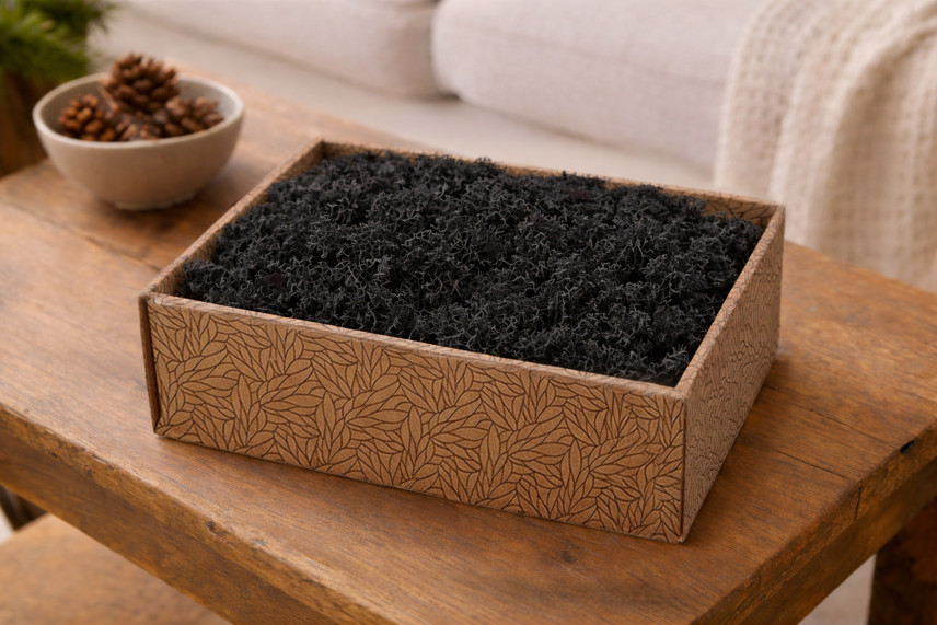Lichene preservato - Creabox M - Nero