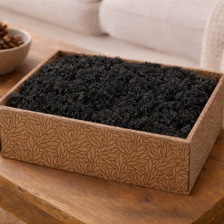 Preserved Reindeer Moss - Creabox M - Black