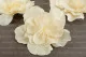 Cam&eacute;lia G&eacute;ant artificiel Cr&egrave;me (x3) 4