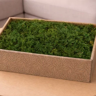 Mousse Foug&egrave;re stabilis&eacute;e (Creabox M)