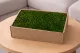 Preserved Flat Moss (Creabox M) 1