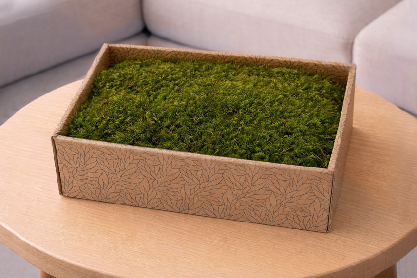 Mood Moss preservato - Creabox M - Light Green