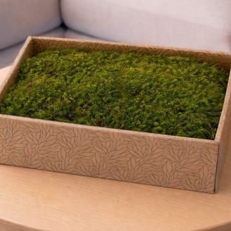 Mood Moss preservato - Creabox M - Light Green