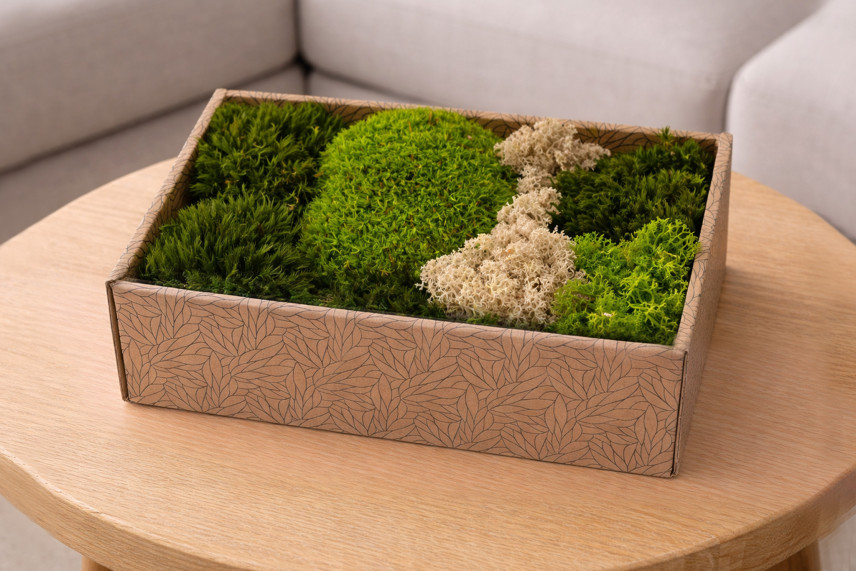 Moss Mix Preservato - Creabox M