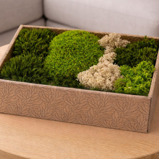 Moss Mix Preservato - Creabox M