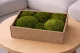 Mousse Boule Nature Green stabilis&eacute;e (Creabox M) 1