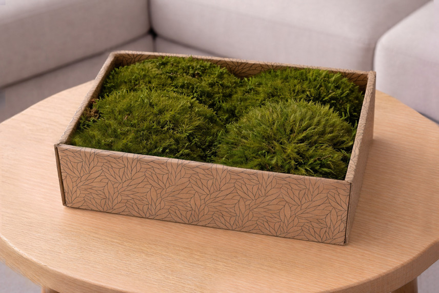 Mood Moss Pr&eacute;serv&eacute;e - Creabox M - Nature Green