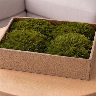 Mood Moss preservato - Creabox M - Nature Green
