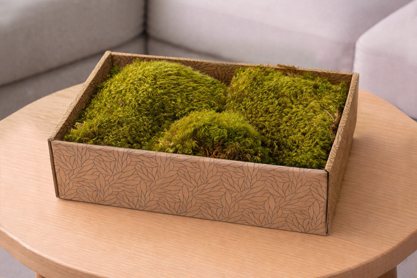 Hair Moss preservato - Creabox M - Light Green