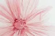 Coquelicot G&eacute;ant artificiel Rose 2