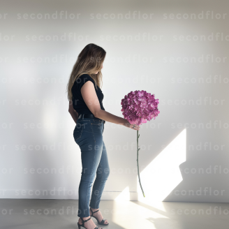 Hortensia G&eacute;ant Artificiel - Rose