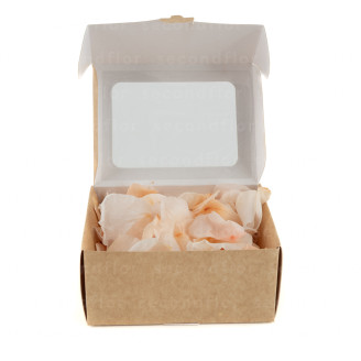 Rosenbl&auml;tter stabilisiert - Rosa