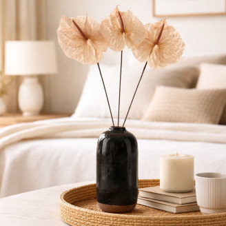Anthurium konserviert - Verpackung 3 St. - Champagne Pink