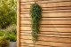 Artificial Hanging Boxwood - Fire retardant 1