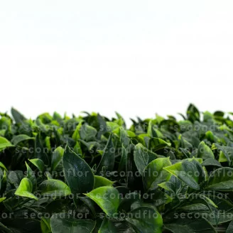 Plaque de Feuillage Artificiel Vert Bicolore