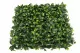 Plaque de Feuillage Artificiel Vert Bicolore 1