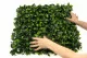 Plaque de Feuillage Artificiel Vert Bicolore 4