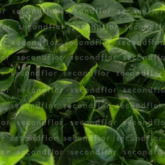 Plaque de Feuillage Artificiel Vert Bicolore