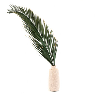 Palme de Phoenix stabilis&eacute;e - Vert