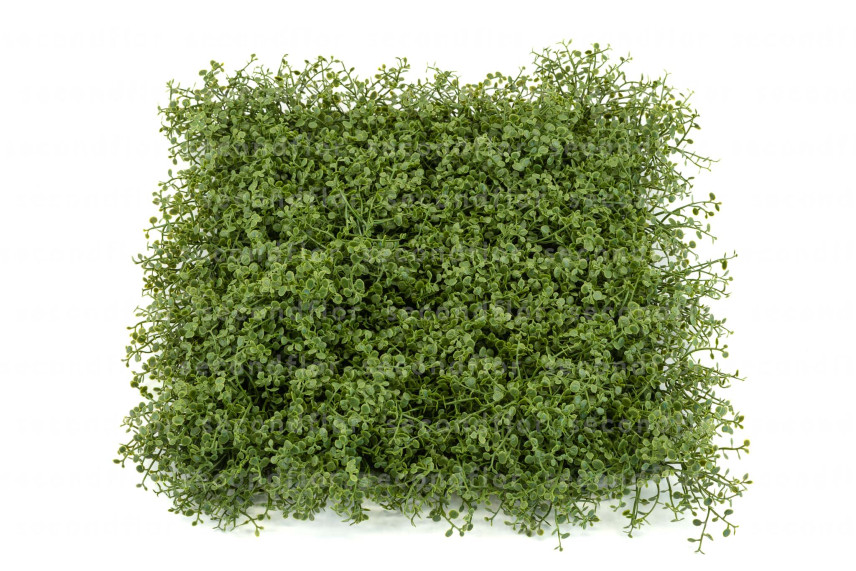 K&uuml;nstliche Helxine-Platte