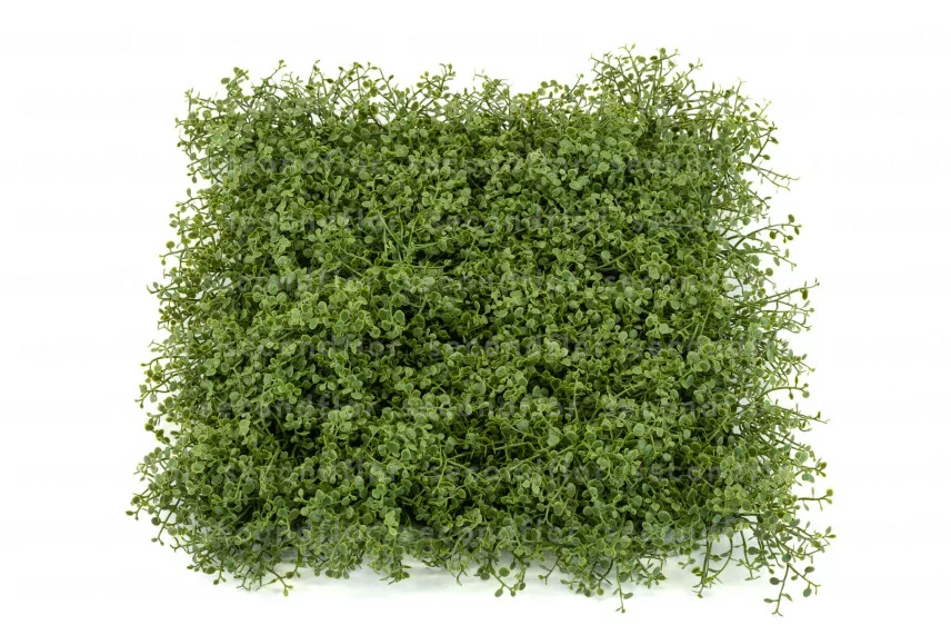 Pannello di Helxine artificiale