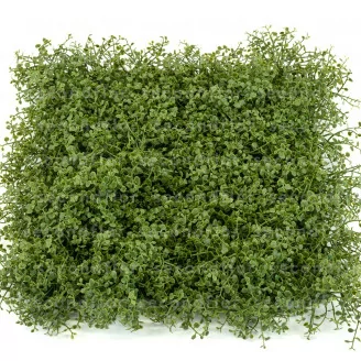 K&uuml;nstliche Helxine-Platte