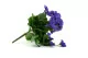Pensiero artificiale Verde e Viola 4