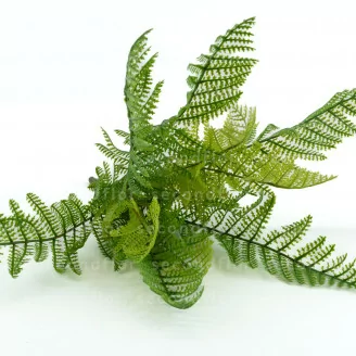 Felce artificiale