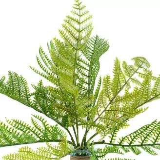 Felce artificiale