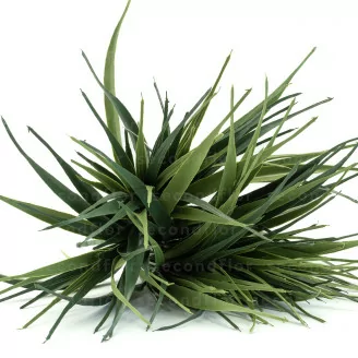 Erba artificiale - Ignifuga
