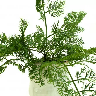 Felce Carrot Fern artificiale