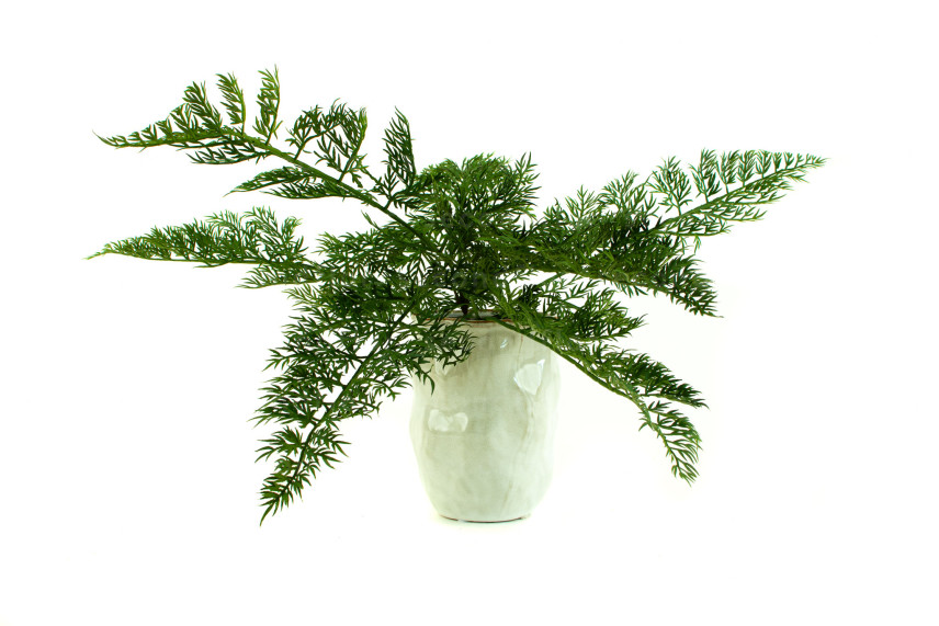 Helecho Carrot Fern Artificial