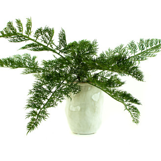K&uuml;nstlicher Carrot Fern Farn