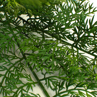 Felce Carrot Fern Artificiale