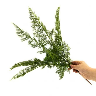 Felce Carrot Fern artificiale